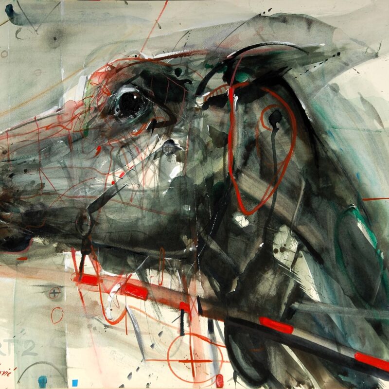 Aport II
