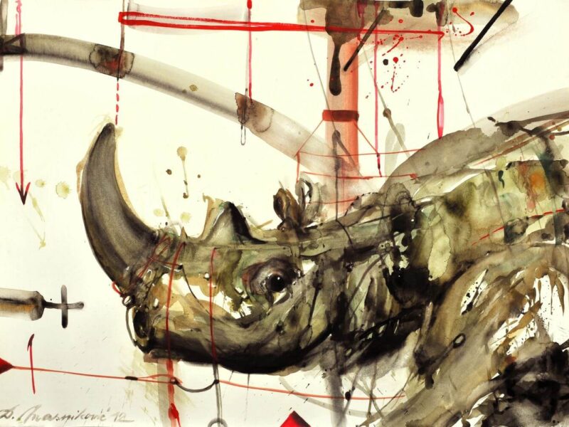 Rino