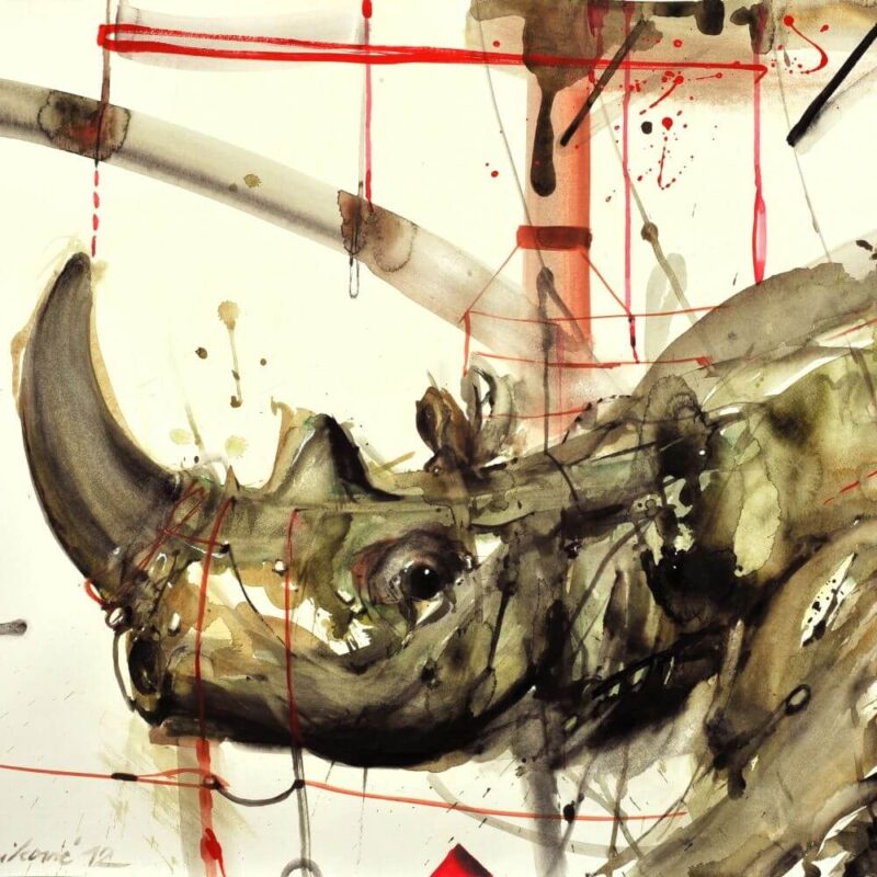 Rino